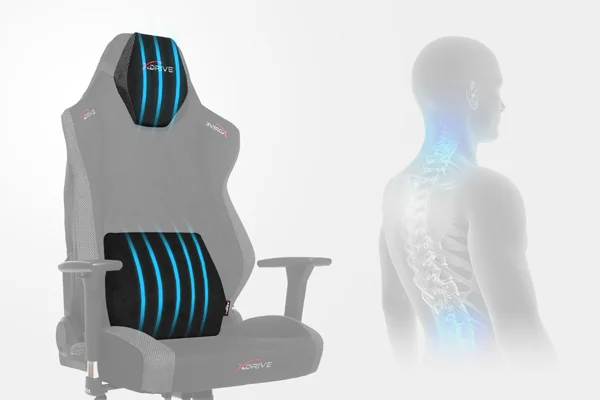 ErgoPosture Cushions
