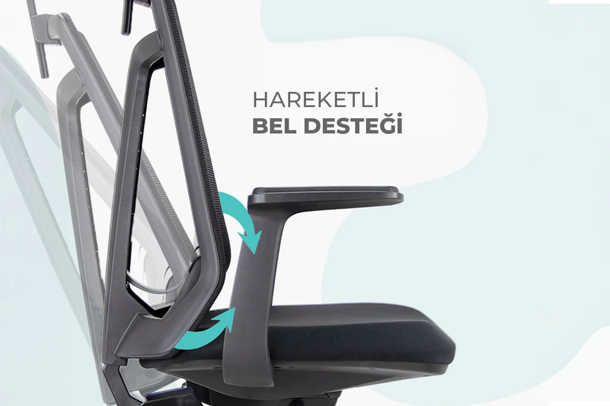 HAREKETL BEL DESTE.webp (52 KB)