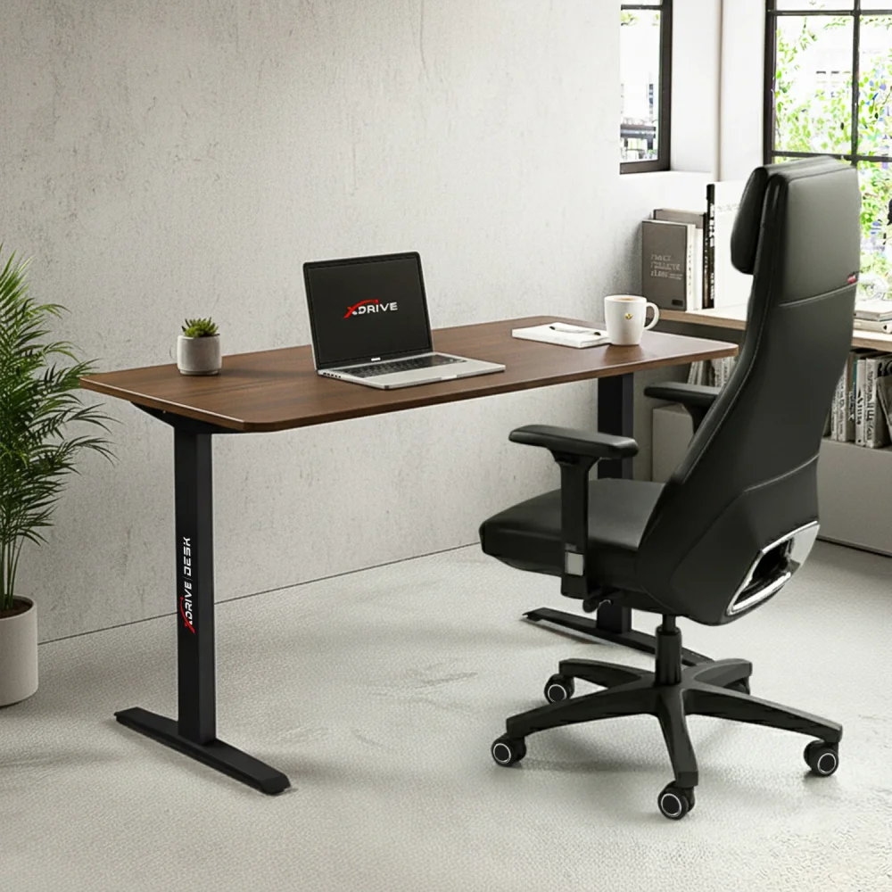 xDrive Rüzgar Çalışma Masası Barok - 1